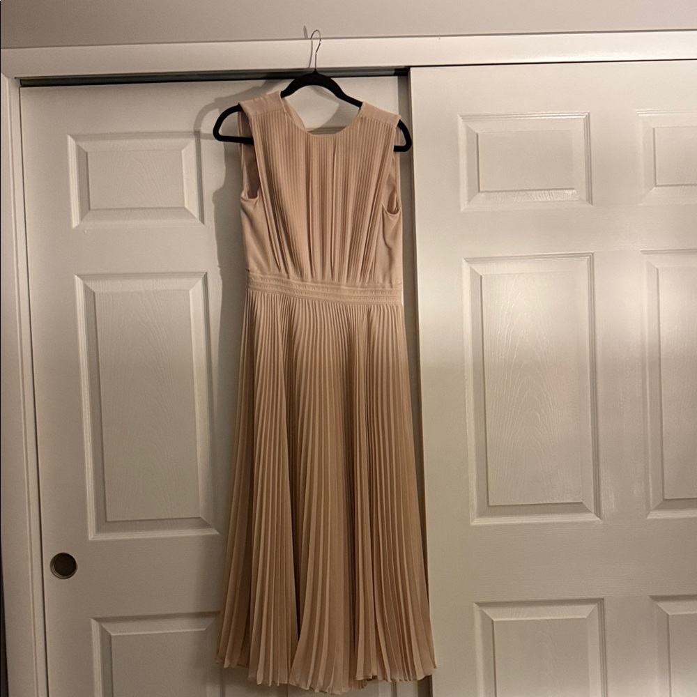 Reiss Blush Midi Dress - Picture 4 of 5